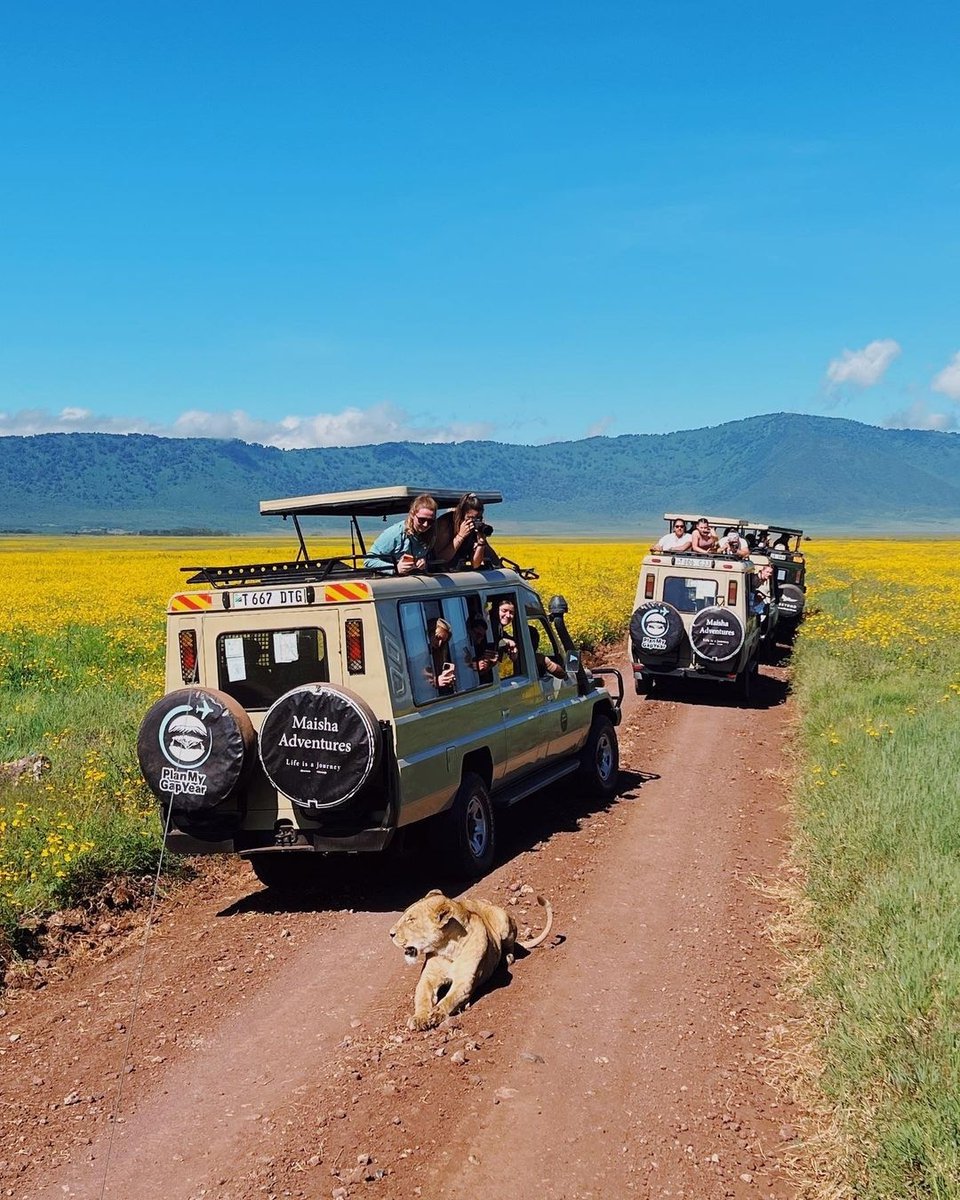 PlanMyGapYear's tweet image. 🇮🇳 Weekends in Tanzania look like…⁠
⁠
#pmgy #pmgytanzania #pmgyweekends