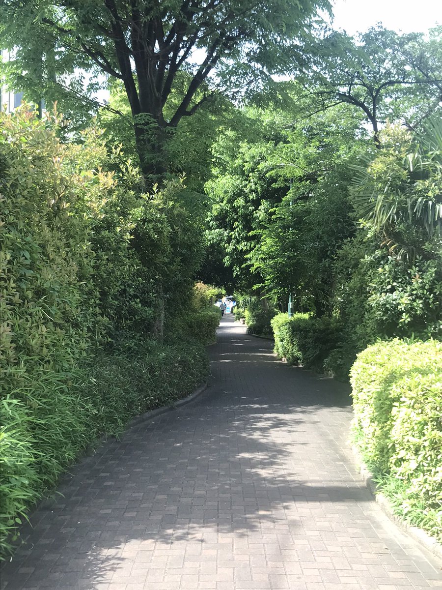 ishihara_happy's tweet image. my way !

#papy

ステキな未来に続く道✨