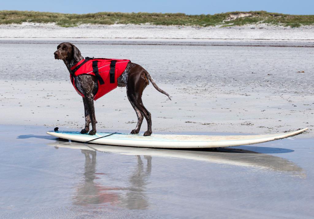 Timbercreate's tweet image. Once we work out the front from the back, we are good to go! #southuist
@OuterHebs @VisitScotland