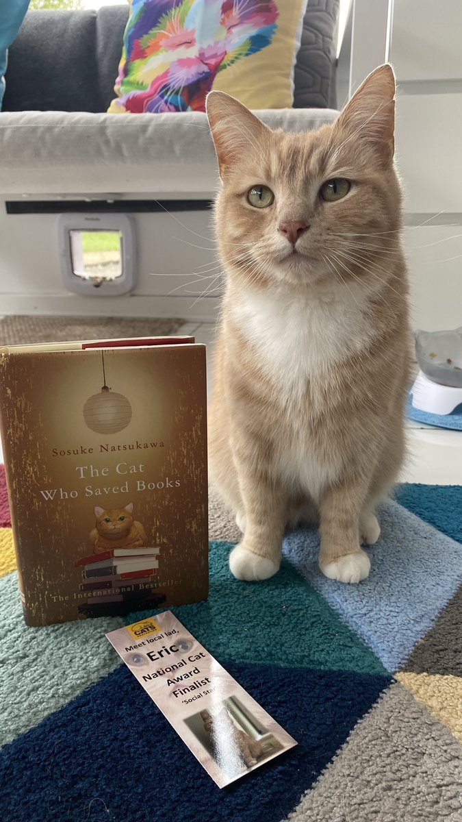 Good morning all, going to get stuck into this book today, looks very cool. Have a pawsome day 🧡😻🧡 #catsoftwitter #catsontwitter #adoptdontshop #CatsLover #catsprotection #catsprotectionawards #voteeric #rescuecat  #NationalCatAwards  #thecatwhosavedbooks @picadorbooks