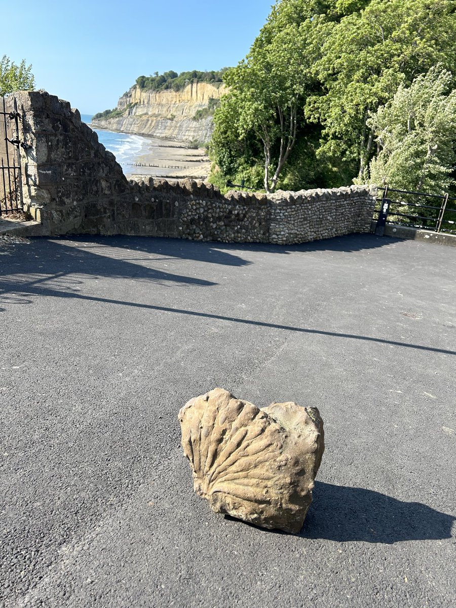 Man has just found this massive fossil on the beach in the background # fossils IOW #living the dream