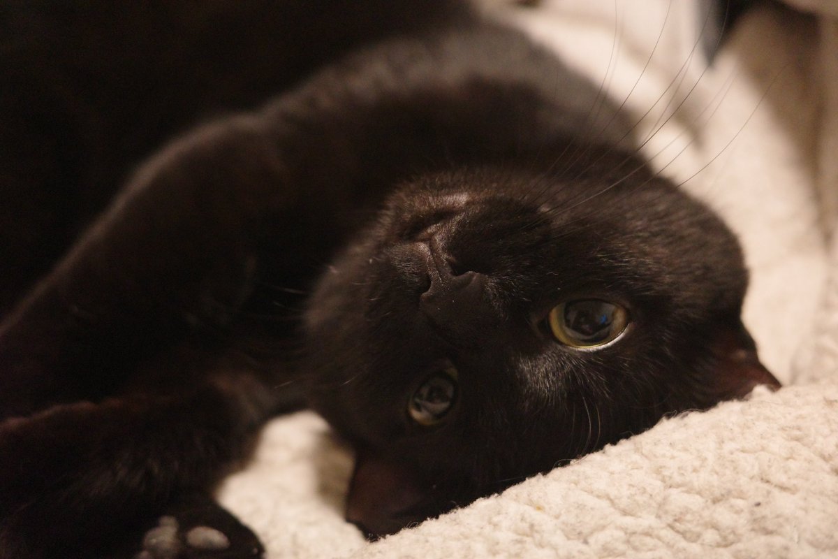 太会找镜头了吧这位宝贝