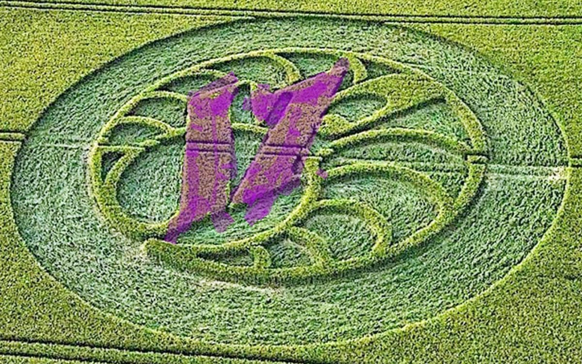 RedCollie1's tweet image. Do you suppose this could have been made by "Team 17"?
The farmer was not paid, and knew nothing about it.