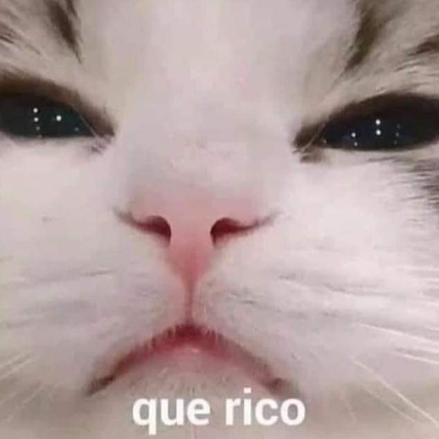 corridosybandas's tweet photo. Cuando le das el primer trago a tu michelada: https://t.co/SV0y57sRJ4