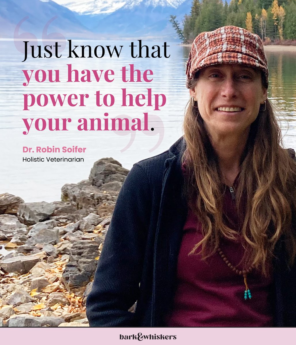 Dr. Karen Becker on Twitter "RT bark_whiskers Dr. Robin Soifer