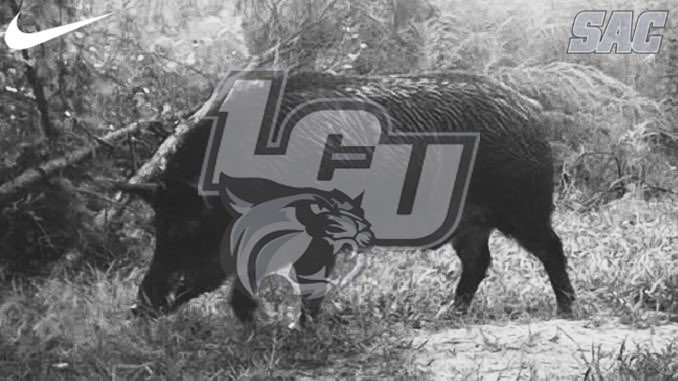 Trevor Hopkins tweet media