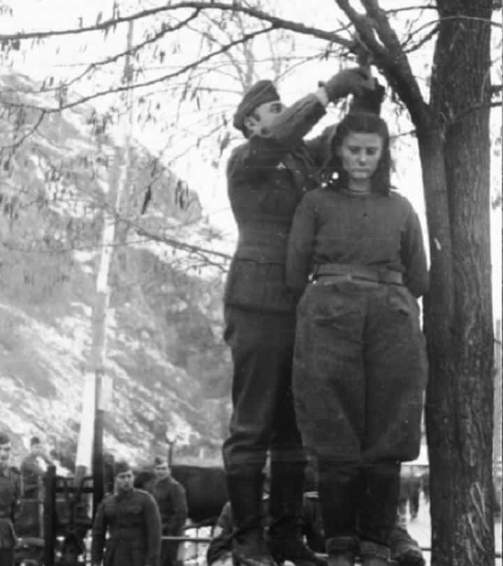 ShreeShashank's tweet photo. Lepa Svetozara Radic | February 8, 1943 | Somewhere in Bosnia https://t.co/U6ptZyttcZ