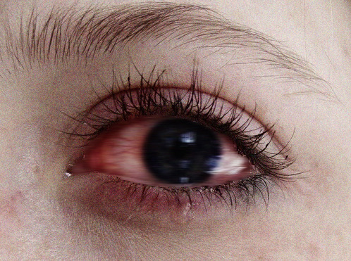 archillect's tweet photo. https://t.co/CrbbaN2HmM