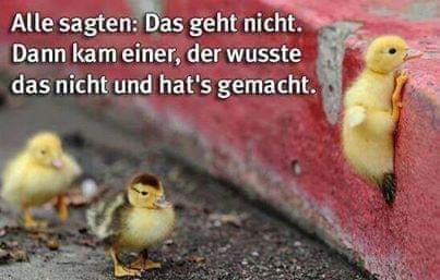 Hans-Holger Hauck (@grumpy_kraut) on Twitter photo 