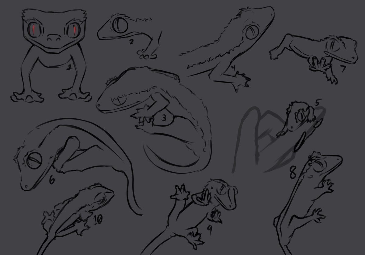 Drew some crested geckos since I can’t draw human anatomy properly 😭😭 anyways they started looking better the more I made (got lazy on 10). Number 7 is my favorite