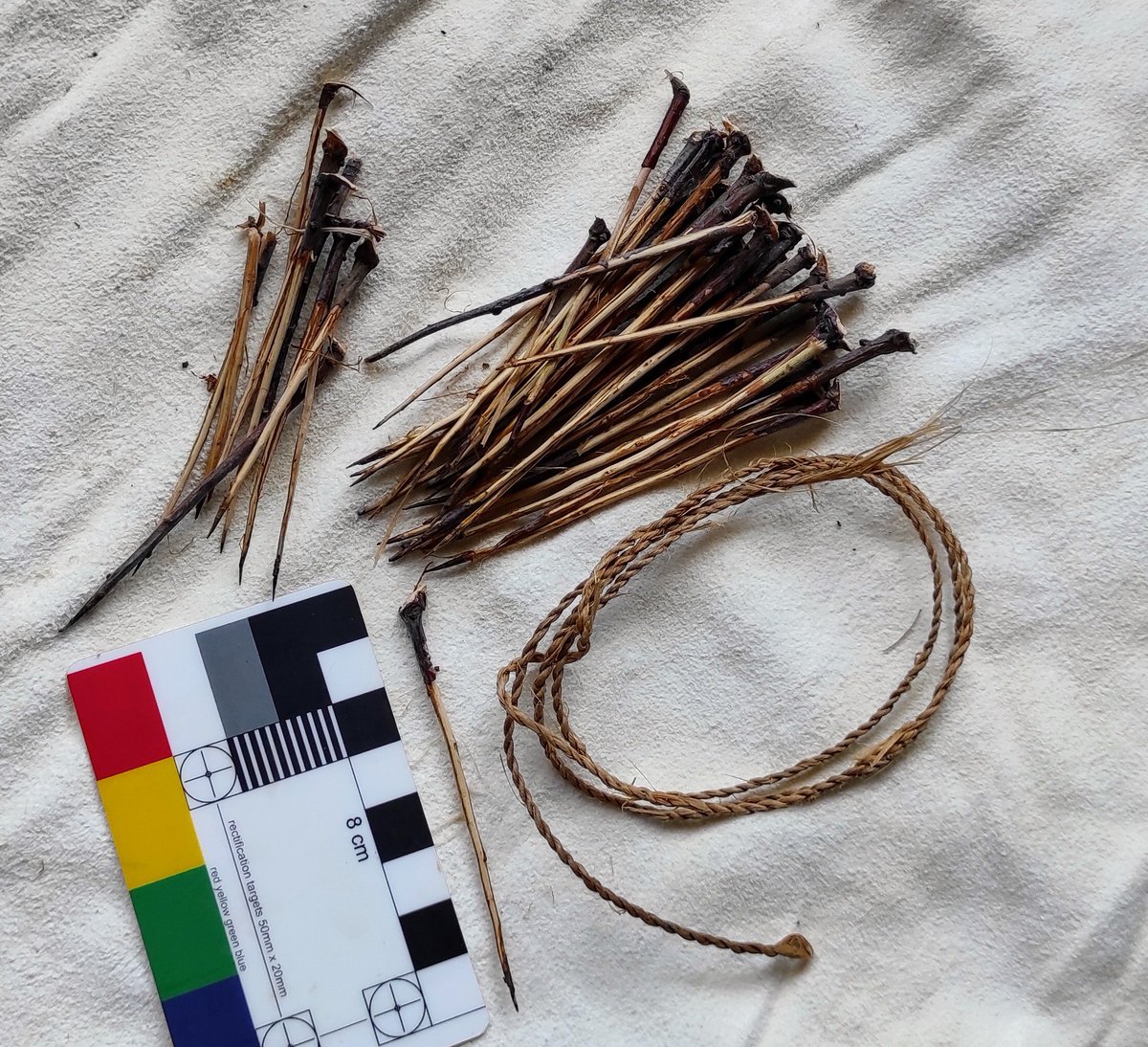 I love a world where 42 nice long blackthorn spikes & 85cm of fine limebast cordage is an essential part of my dissertation planning.  If you happen to be at the Prehistory event at Bryn Celli Ddu June 17 you'll get to try out the finished object, til then it's a secret project!