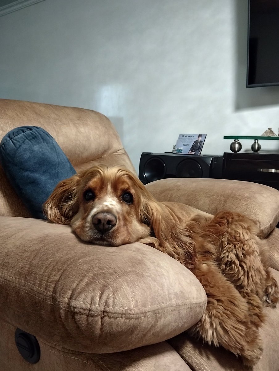 𝕬𝖓𝖉𝖗𝖊𝖘 𝕽𝖎𝖓𝖈𝖔𝖓🏍️ tweet media