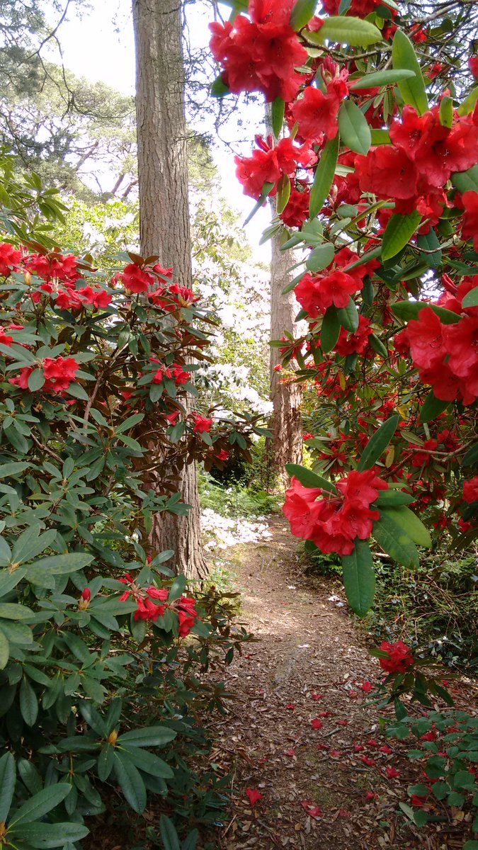 Good morning to everyone in the #earlyrisersclub - its another lovely warm start to the day - this weeks blog has been posted https://t.co/1niJcFbjY9 - which I hope you enjoy reading - best wishes for a peaceful and relaxing Sunday https://t.co/QbnFq2ztP2
