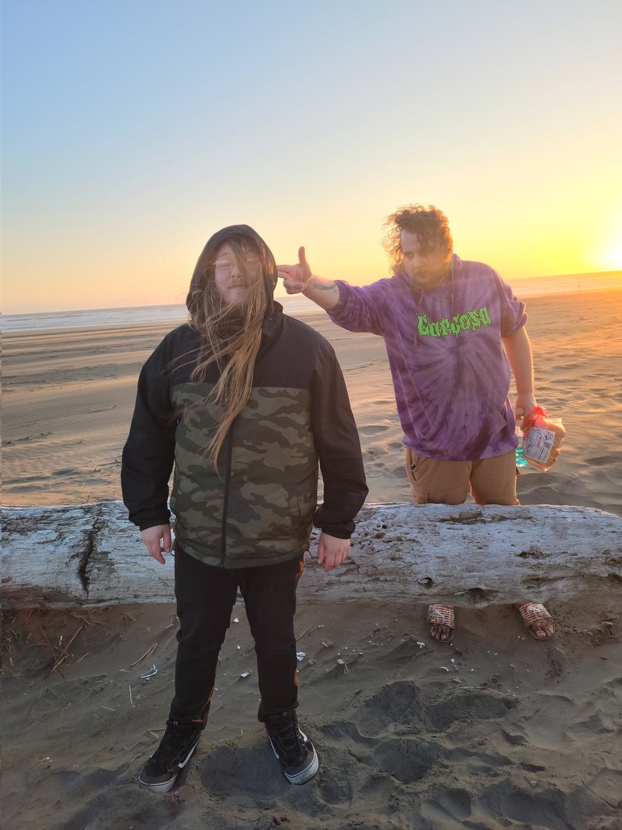 CHRISTMAS CAT tweet media