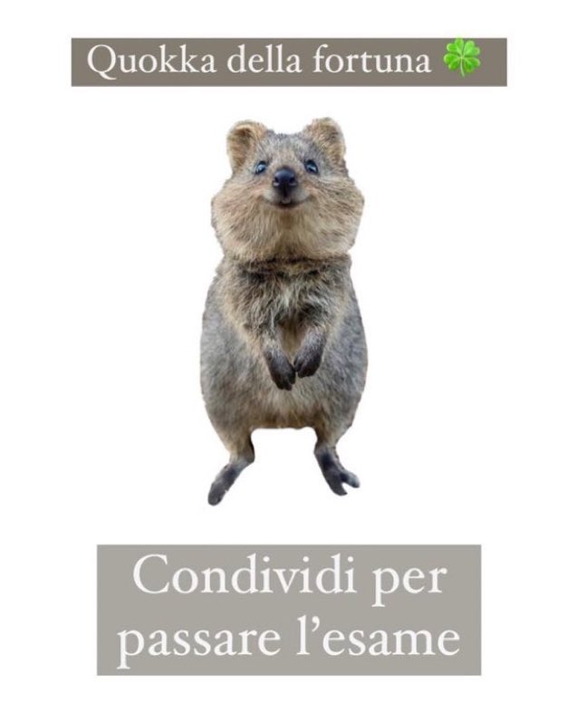 Rieccoci