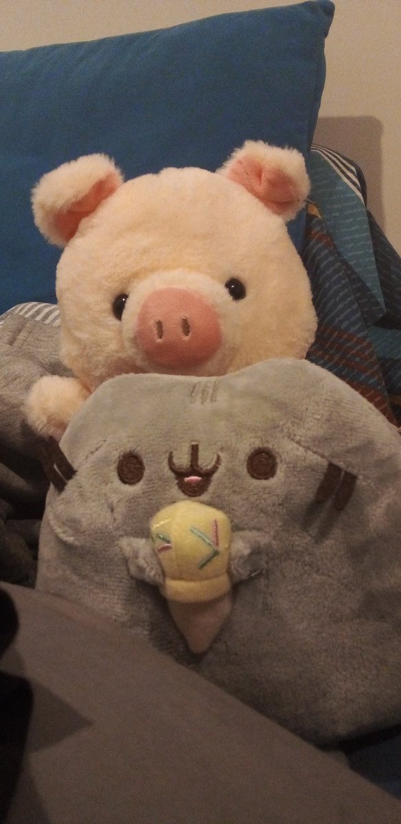 Oinkers and Pusheen the best duo 😌