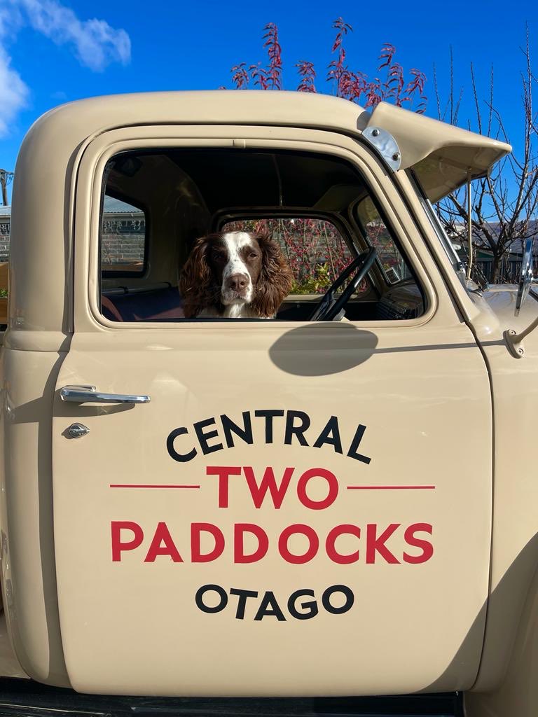 Anzac , the Spaniel, has applied for the driver’s job . I’m not too sure…
