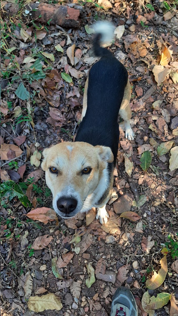 He has got a life of an #adventurer and the #spirit of a happy child.  In his company, no one can remain sad. 
 #sad
#joy #happiness #play