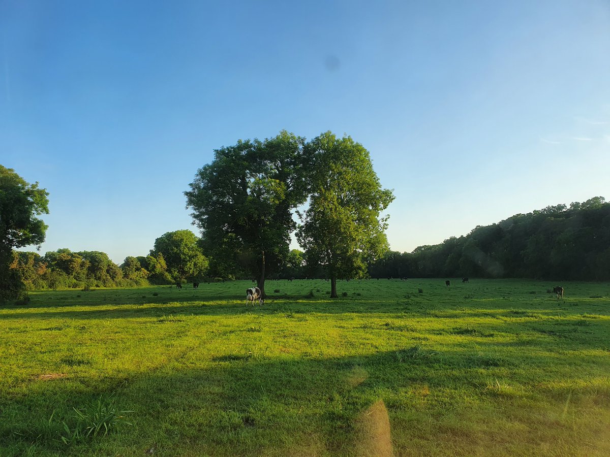 Colin Doherty tweet media