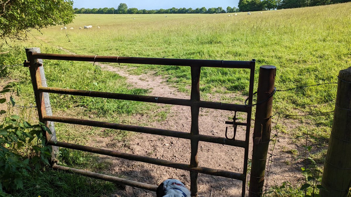 RecyclerBill's tweet image. This morning&apos;s #gate brings with it a well used, effective &amp;amp; #repurposed #latch followed by a fantastic view of @sdnpa 
#QuiteInterestingGatesAndLatchesOfTheUK #BillsGates