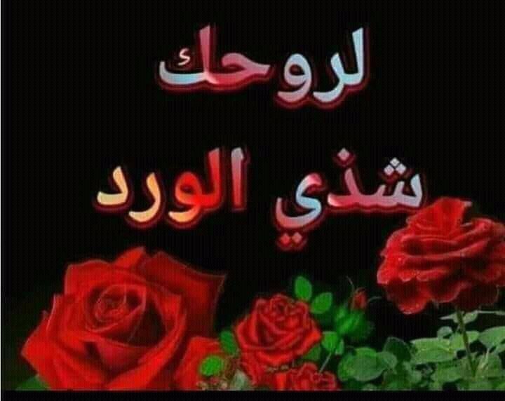 aehab1978's tweet photo. @Sindrilla7 https://t.co/rlDIBPqkVG
