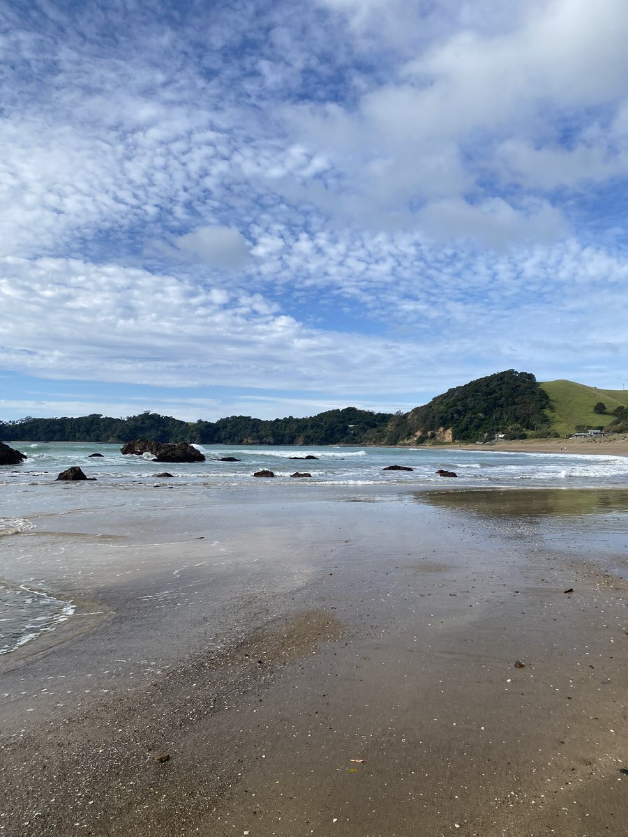 HiGeorgeM's tweet photo. Hey @Memeulous I went to the beach today and went for a It’s about to be winter swim here’s a pic I took https://t.co/1LaaA7zK5M