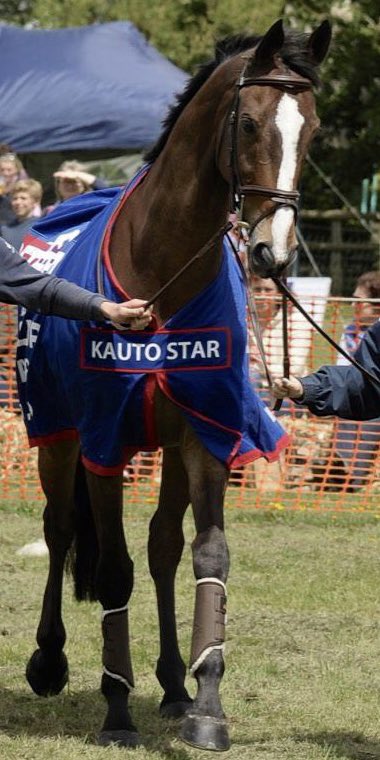 Kauto Star Legend tweet media