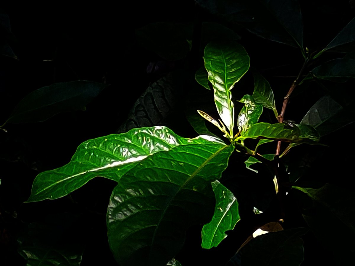 黄丹尼TY.H (@dyh0124) on Twitter photo 