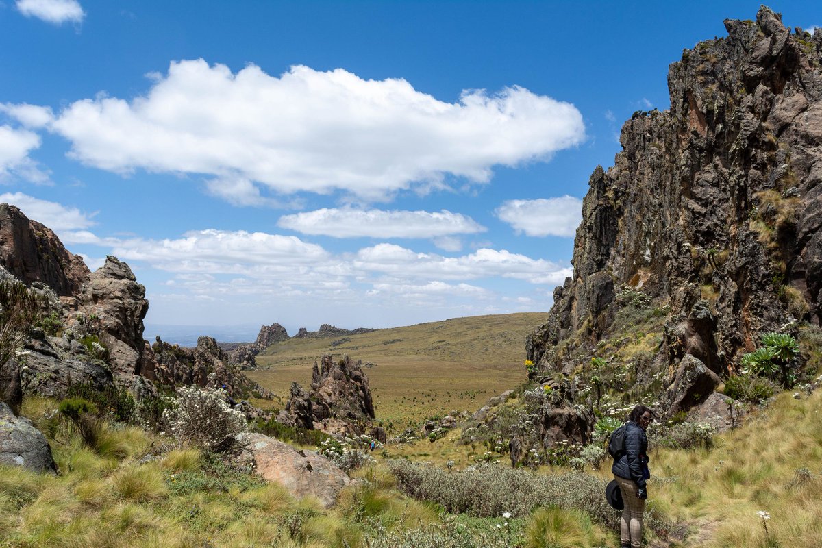 Mamba Expeditions tweet media