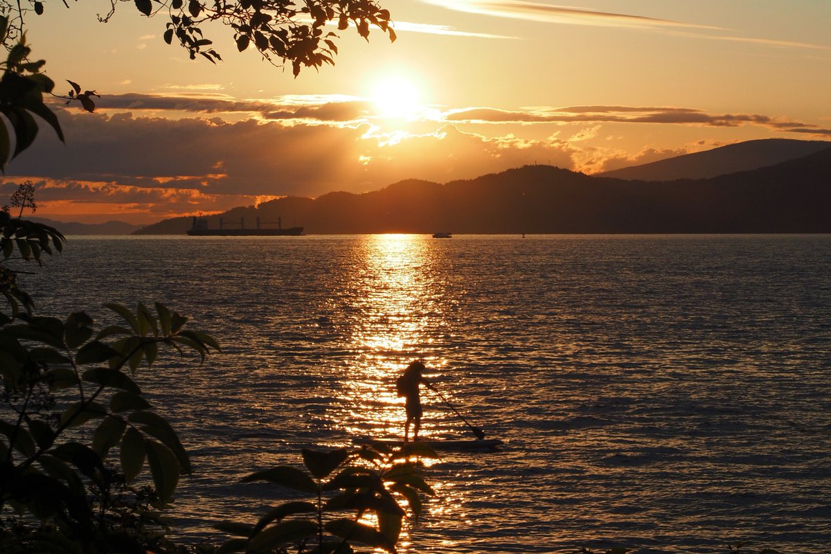 今晚见到的几个年轻人，两个女孩儿在弹琴，过路的狗都停下来听，主人也叫不走。生活美好的样子，就如木心说的："宛若新生，没有生活苟且，没有命途艰深，只有纯真，无限希望。"