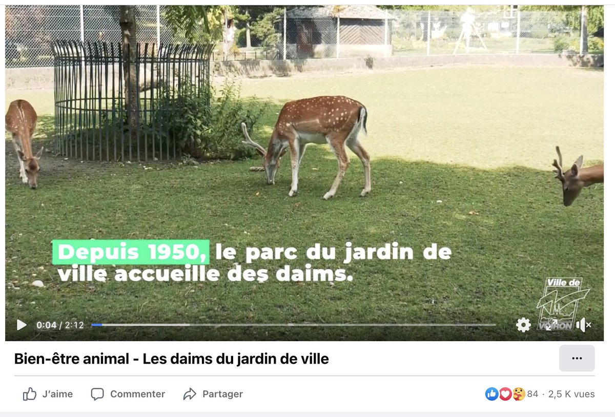 FrancAller_info's tweet photo. Ah, encore un élevage de #daims pour la #chasse...
(47% des élevages de grand gibier recensés par #OneVoiceAnimal).
Cette fois, à #Voiron en #Isère.
Souci, je n'en trouve pas trace. En revanche, la ville a quelques daims dans le jardin de ville.
Encore une confusion sur la fameuse carte des élevage de grand gibier façon @onevoiceanimal ? 🤷♂️
➡️ https://t.co/SYnEGcCkte
Les daims de la ville de Voiron en vidéo ➡️ https://t.co/LBjTFQemqy