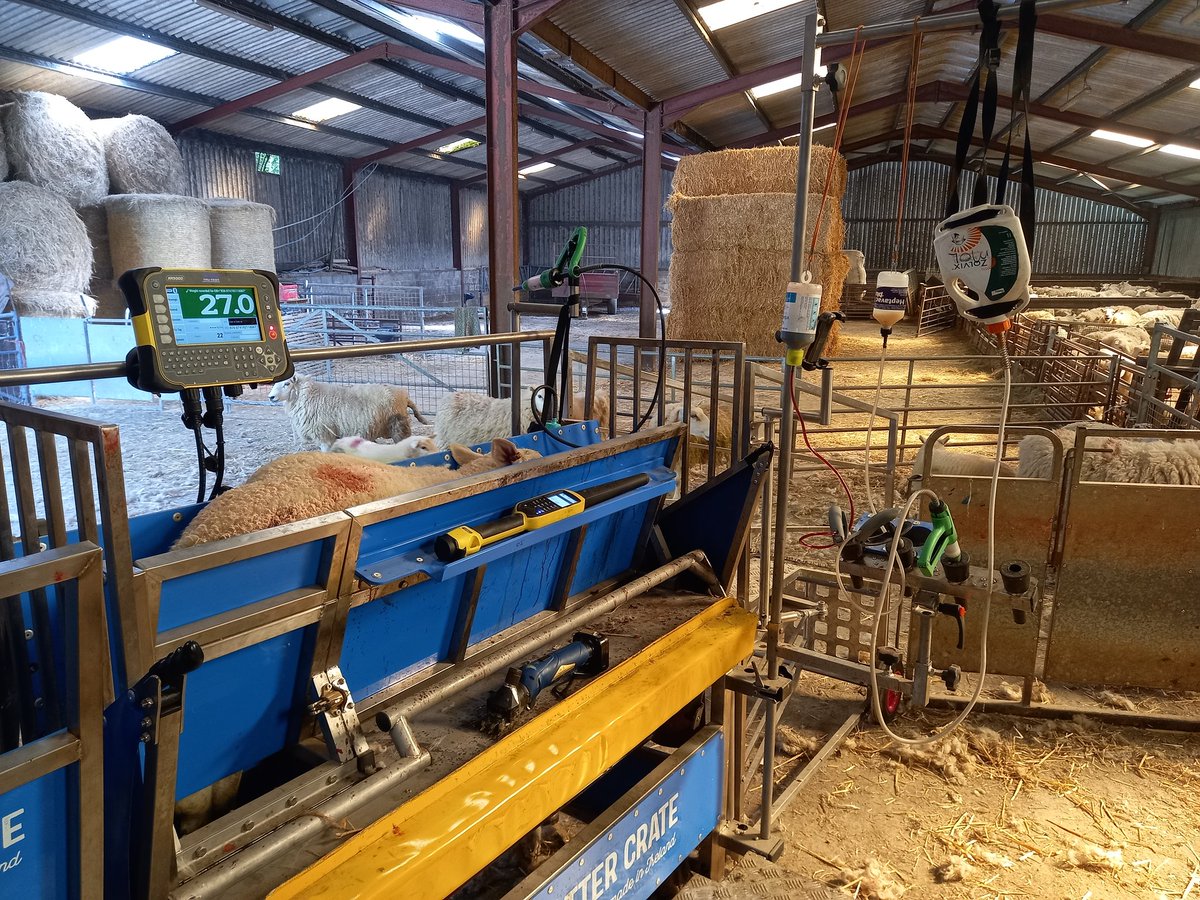 irweljones tweet media