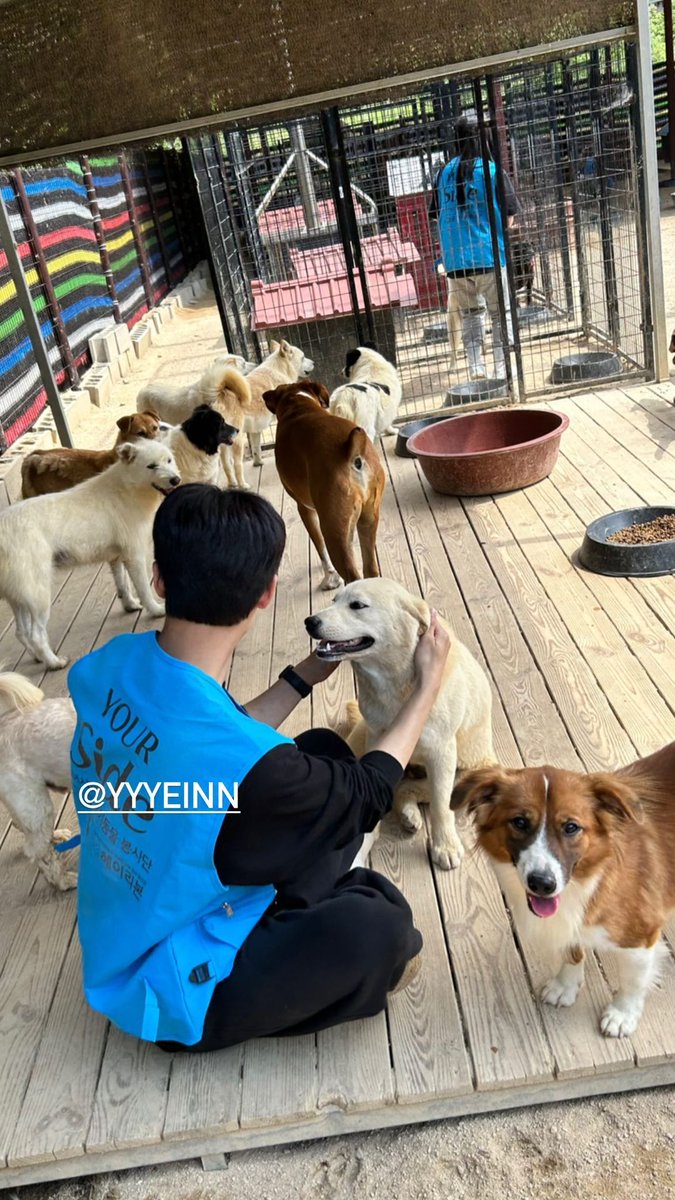 ggulsiblulu1106's tweet photo. 230604 차재훈님 인스타 스토리 업데이트
우리 예인이 봉사활동 또 갔어요
진짜 너무 착하고 마음이 너무 예뻐요🥺
출처:https://t.co/mkByHdVQ9y
#업텐션 #선율 #선예인 #UP10TION #SUNYOUL #유어스이드 #YOUR_Side https://t.co/V5xRqifKEf