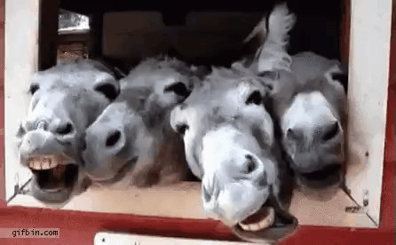 حورية الجنوب tweet media