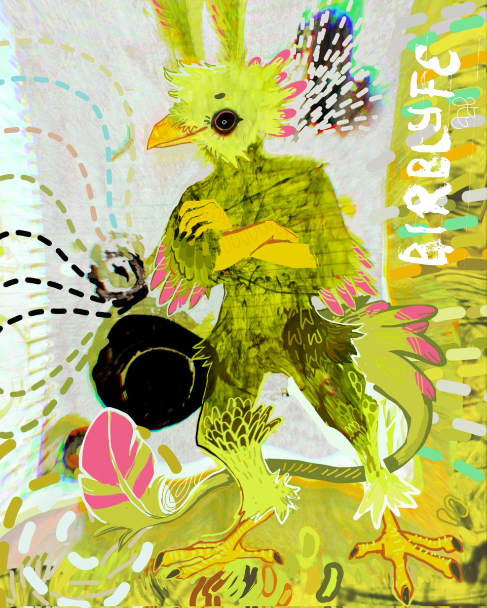 birblyfe's tweet photo. @hr_bananabird https://t.co/FWcslv4Yi7