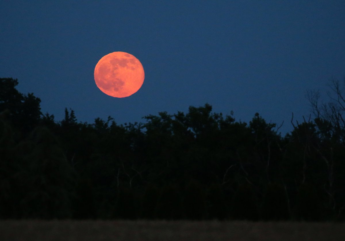 nishthaaa🧋 on Twitter "A Sag full moon on a Saturday night? Strawberry