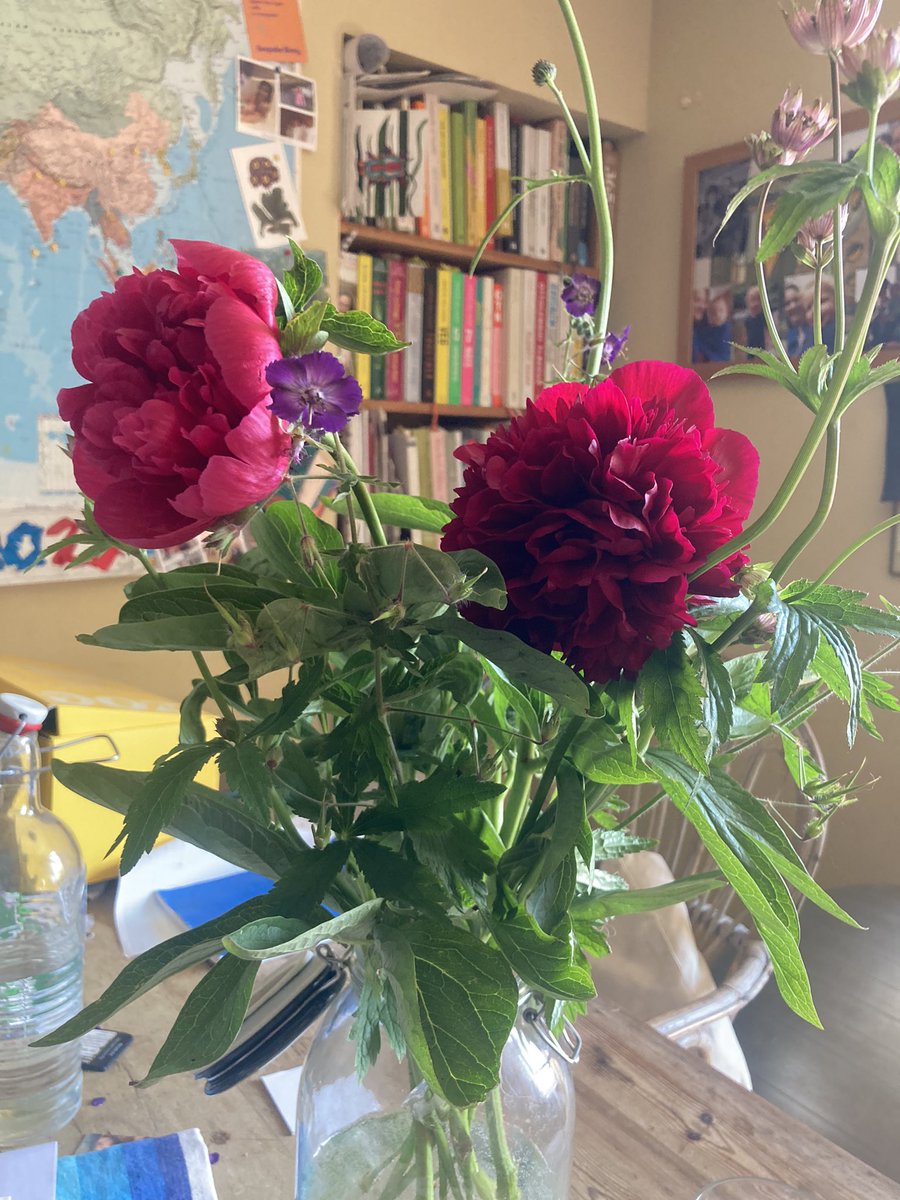 Weekend flowers #peonies #gardening