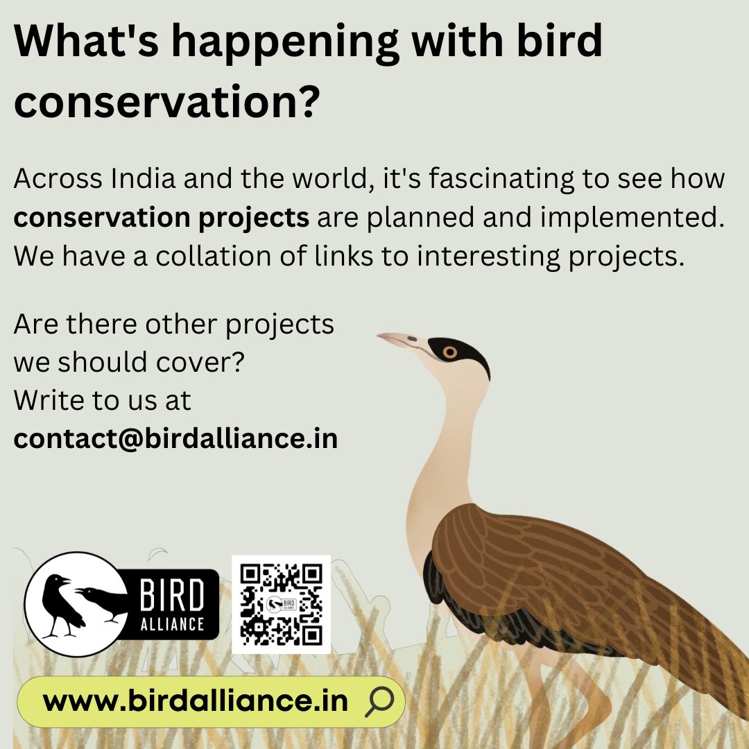 Looking for bird information? We have resources for you.

To learn about bird conservation projects:
birdalliance.in/ba-category/co…

Or Home > Conservation > Case Studies

Have you engaged with bird conservation? Do tell!

#birdconservation #IndiAves