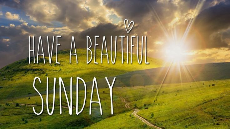 Rise and shine on this beautiful Sunday! Take time to appreciate the little things - a cup of tea, the morning light, a good book. Make today about slowing down, connecting with loved ones, and nourishing your soul. You've got this! #SundayBlessings #selfcare