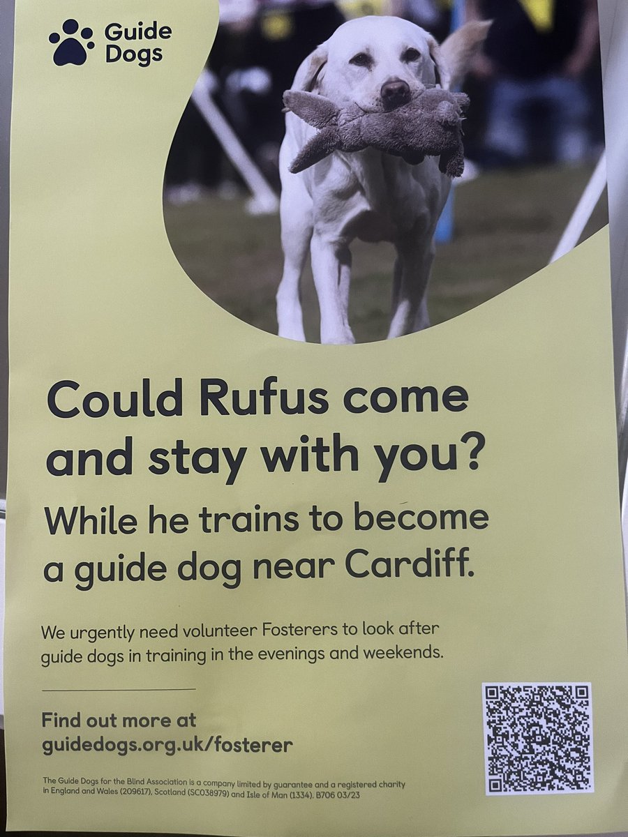 milkandsugarcdf's tweet image. These wonderful dogs are looking for some help whilst they train. @GuideDogsCymru #stmellons #cardiff #guidedogs #dogs