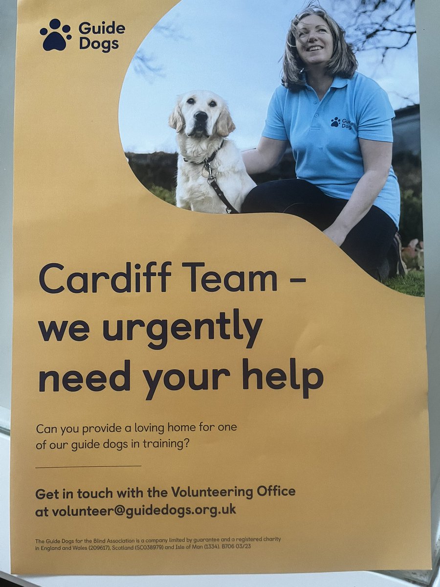 milkandsugarcdf's tweet image. These wonderful dogs are looking for some help whilst they train. @GuideDogsCymru #stmellons #cardiff #guidedogs #dogs