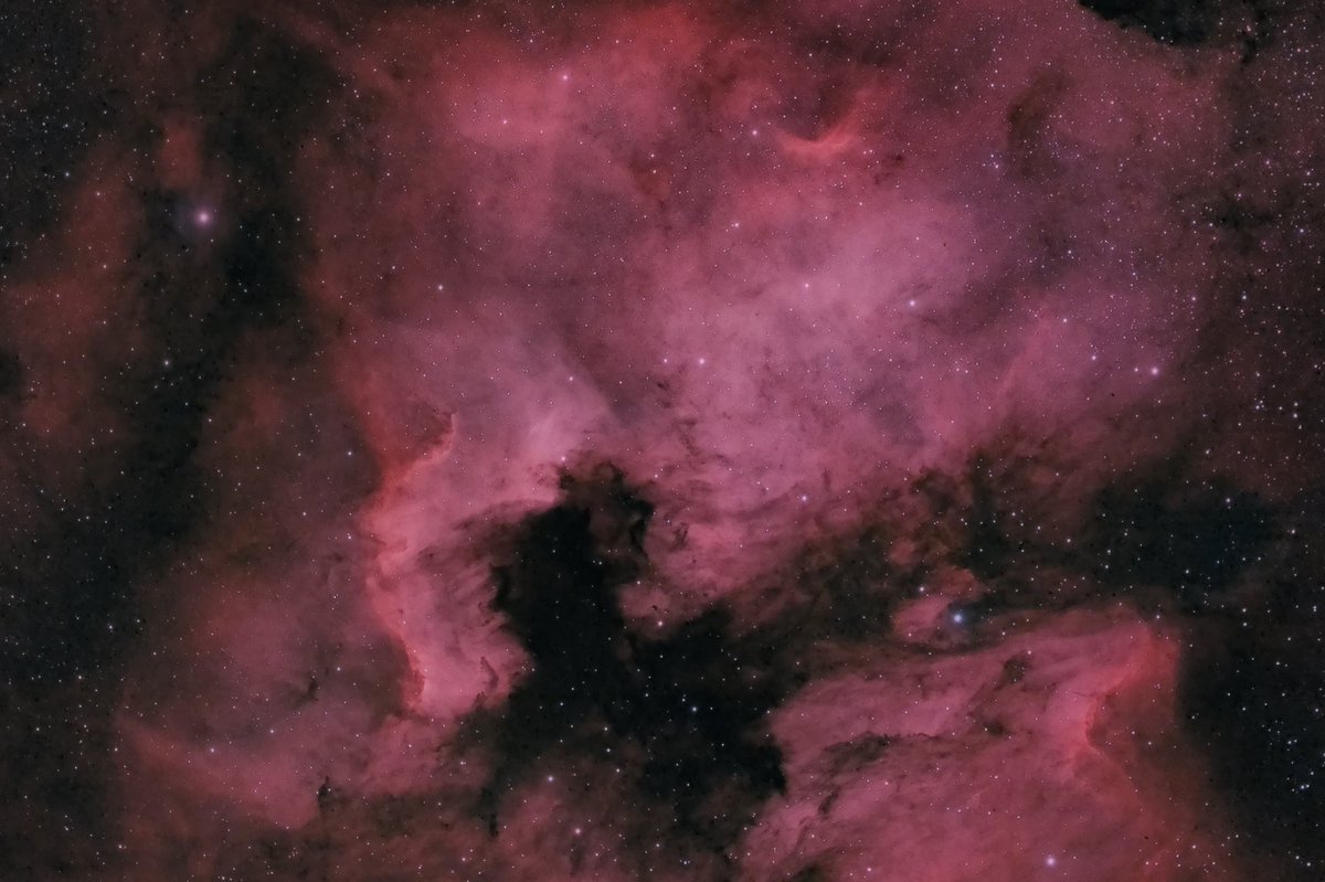PascalHofikus's tweet photo. Summer has arrived at the night sky🌌 The North America Nebula ~ it really does look like the continent🌎️

See more photos + prints of my photography https://t.co/mesGOqHJ0q

#astrophotography #astronomy
#ngc7000 #telescope
#williamoptics #zwoasi #nightphotography #Switzerland https://t.co/3cWnoYXTWh