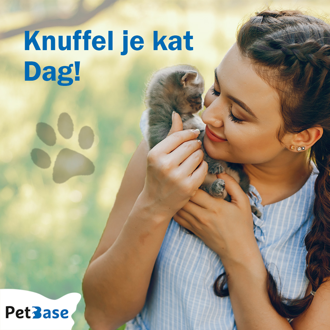 PetBase's tweet image. Vandaag is het officieel Knuffel je kat dag! 

Vier de liefde voor je kat vandaag even extra en geef je kat een dikke knuffel💙🐾