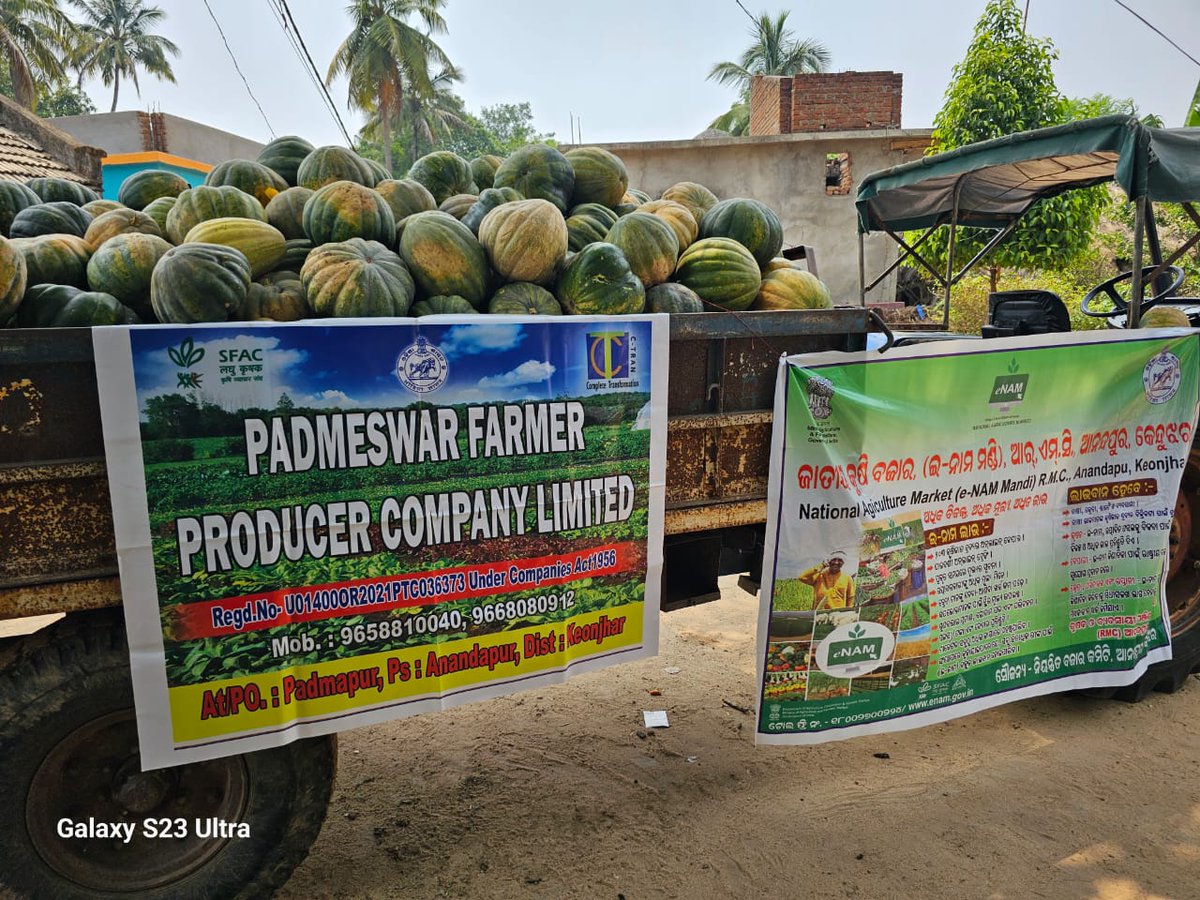 #FPO #farmers of Parmeshwar Farmer Producer Co do Inter-Mandi Trade of 21 Qtls Pumpkin on e-NAM National Agriculture Market on 3rd June 
From Seller Mandi : Anandapur to Udala, Odisha 

Amount : Rs  14700/ 
Quality produce- transparent prices- Come to #eNAM 
#AgricultureMarket