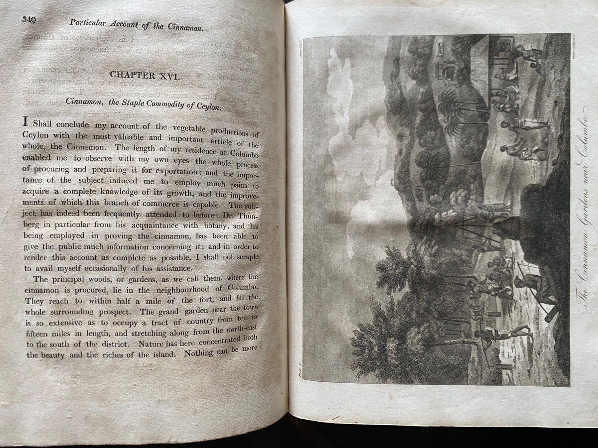 THE ISLAND OF CEYLON, by CAPTAIN ROBERT PERCIVAL, 1805

One of the best accounts of Ceylon

Story has it that Napoleon himself read the book, and ordered his fleet  to takeover the harbor of Trincomalee; However, this is just popular legend.

#ceylon #vintagebook

@rebeccaromney