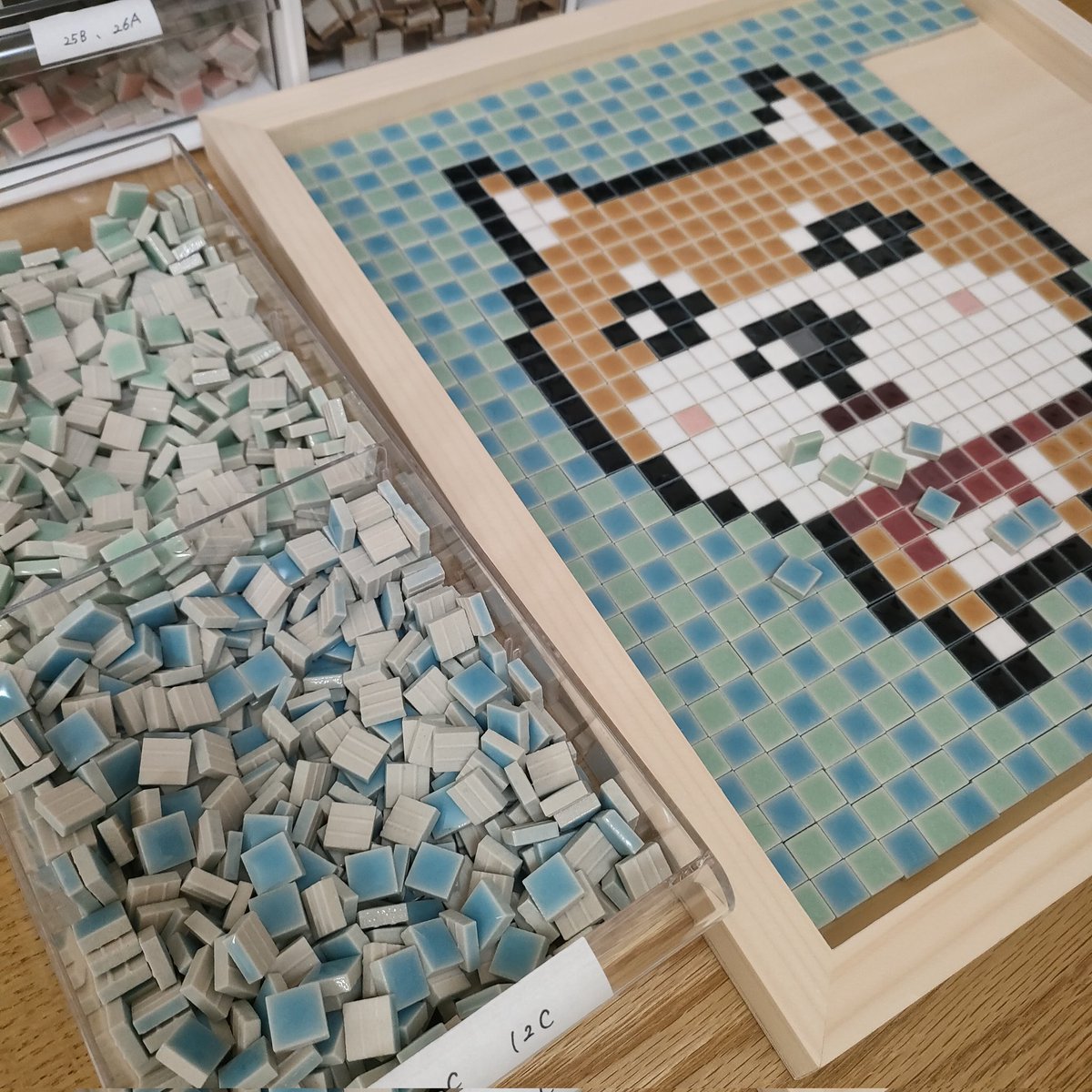 べべ｜日本犬NFT、寄付15ヶ月継続 tweet media