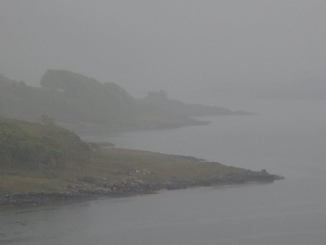 Ben Averis tweet media