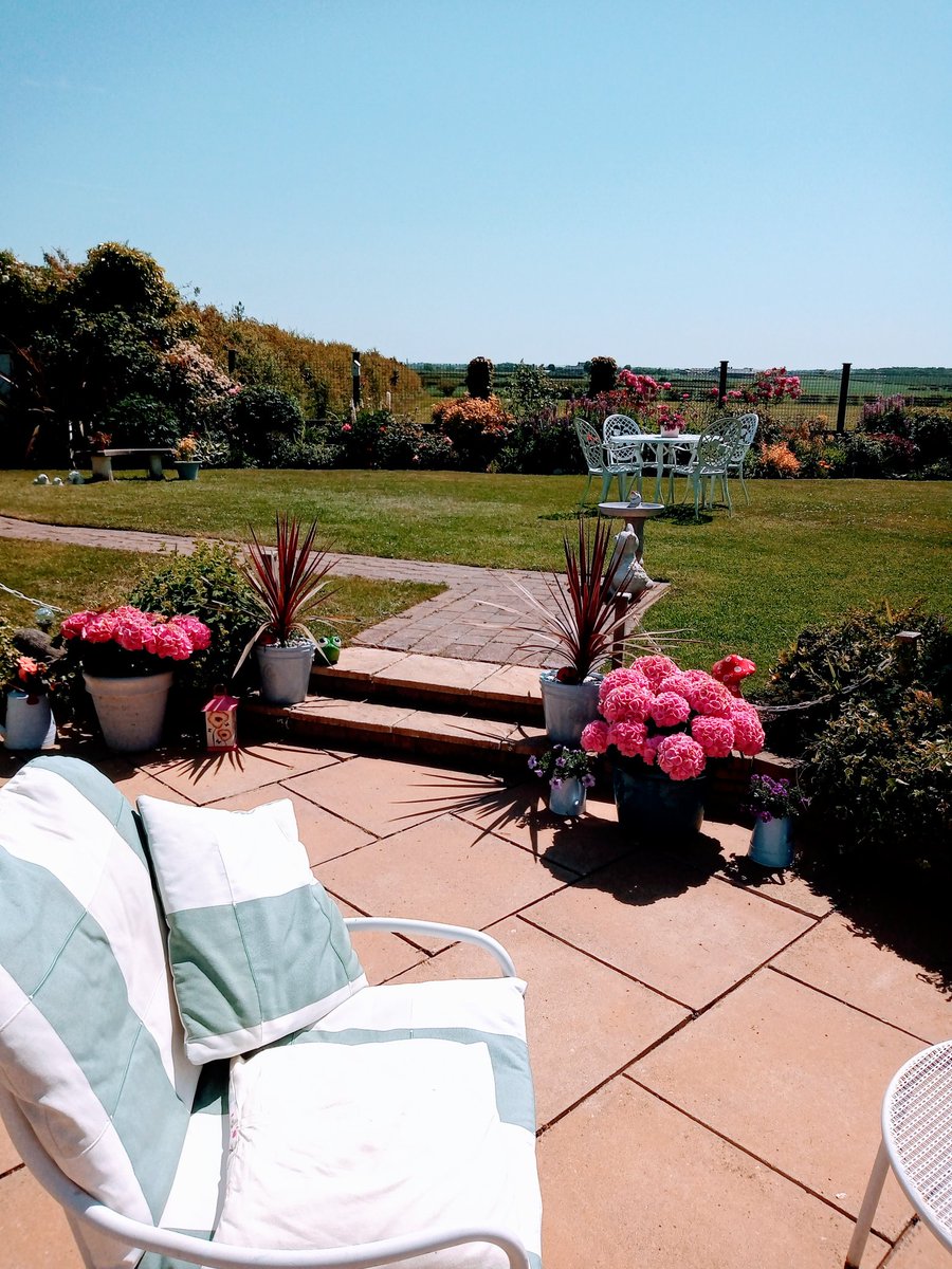 Welcome 🌞 last 2 weeks have been perfect weather and more to come. Loving my garden just listening to birds💕