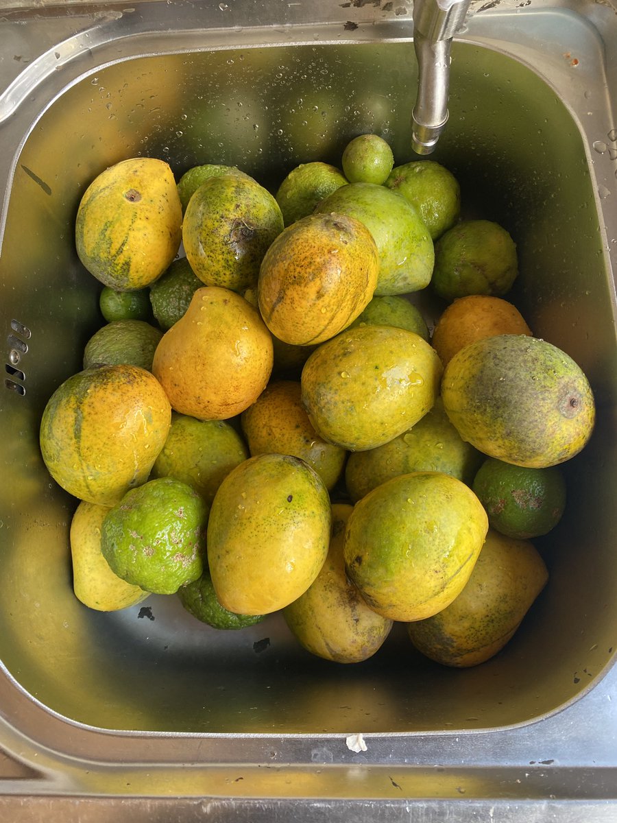 Jacob Otile, MD (@drotileug) on Twitter photo After battling cold for almost a week now, my friend <a href="/IreneAchio/">Min Lutino Maleng ❤️</a> sends freshness straight from Gulu, Ob <a href="/BenOngomTweets/">BENSON ONGOM</a> you have competition 😂, Thank you Irene🙏 After battling cold for almost a week now, my friend <a href="/IreneAchio/">Min Lutino Maleng ❤️</a> sends freshness straight from Gulu, Ob <a href="/BenOngomTweets/">BENSON ONGOM</a> you have competition 😂, Thank you Irene🙏