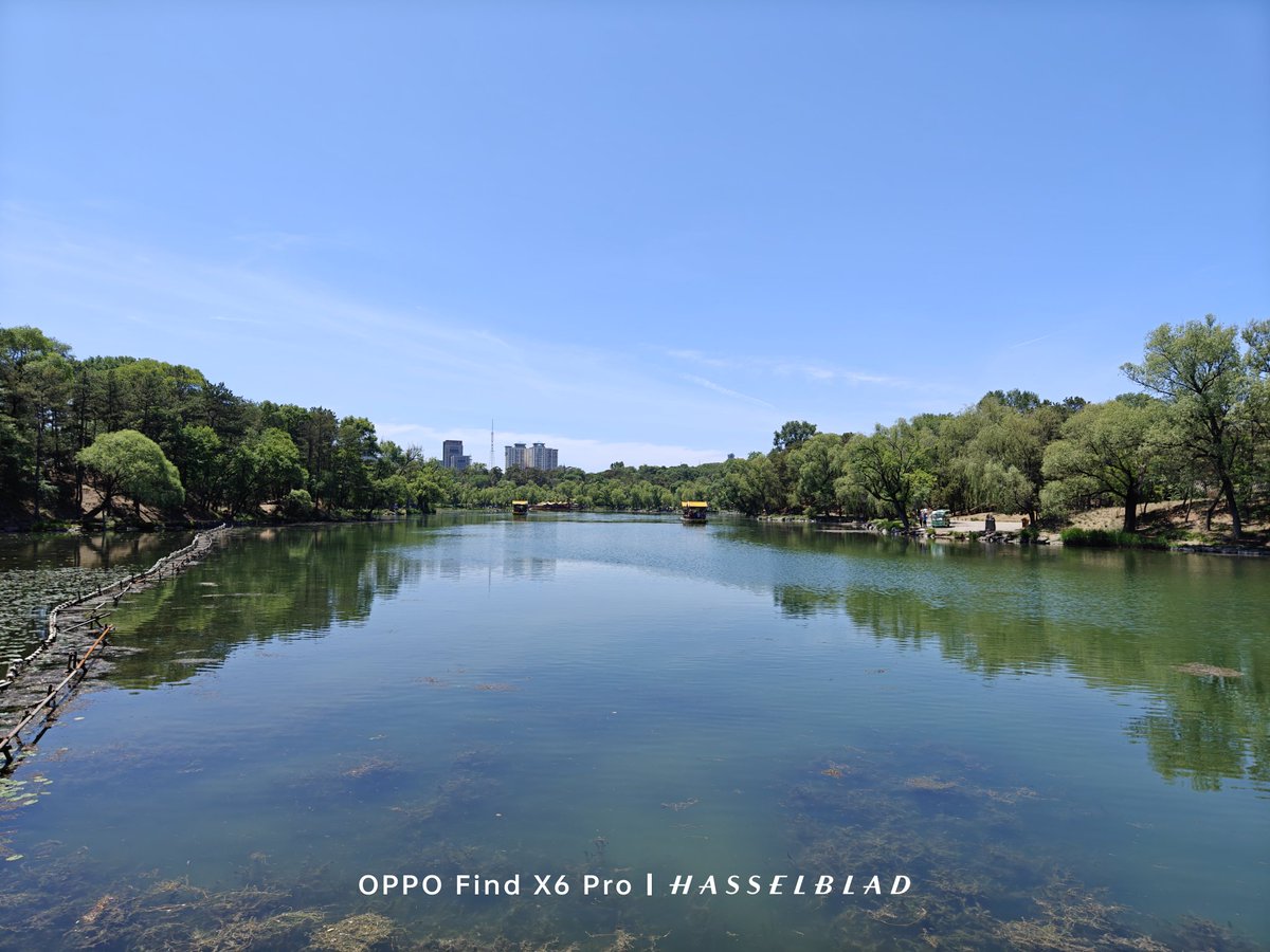 These photos are from OPPO Find X6 Pro, and its biggest advantage is an excellent 3x sensor.